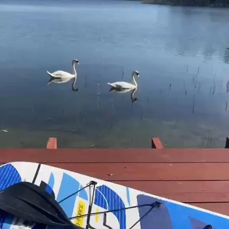 Mazury Wodne Tarasy Blue - Ruś